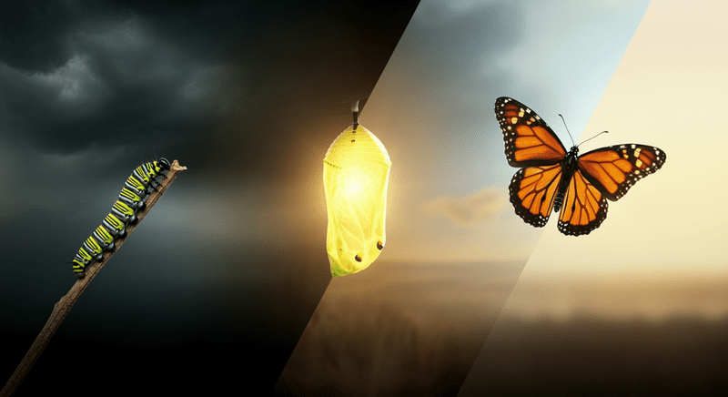 Explosive transformation - from invisible to inevitable